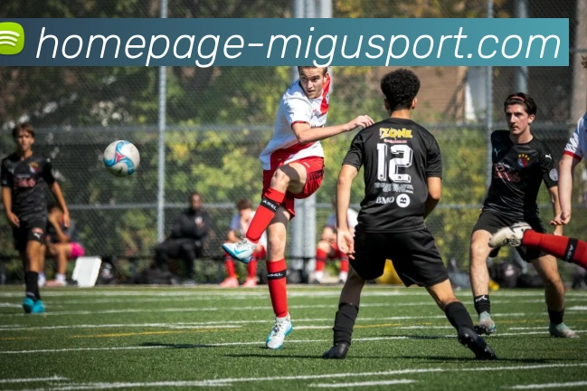 App Interface Preview